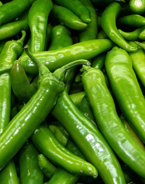 Green chillies-3