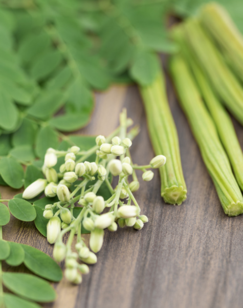 Moringa-2