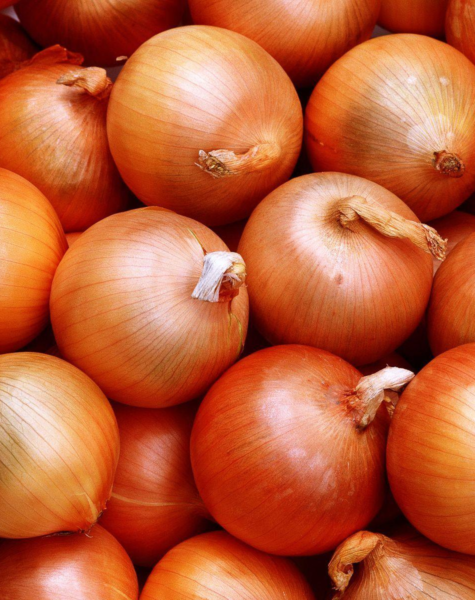 Onion-2