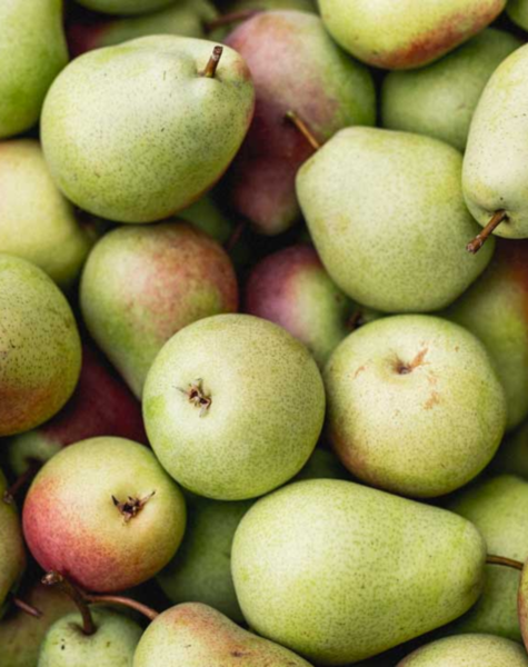 Pears-3