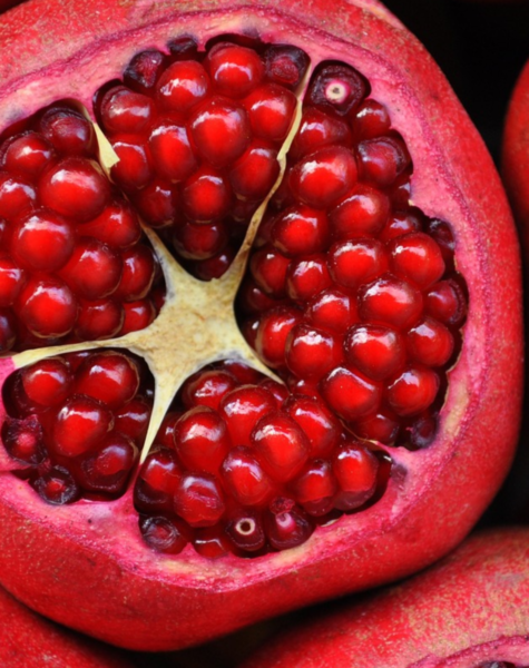Pomegranate-1