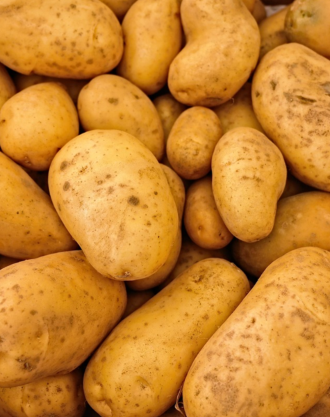 Potato-1