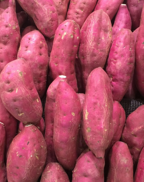 Sweet potato-2